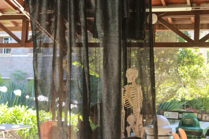 Un esqueleto decorativo aparece detrás de velos negros.